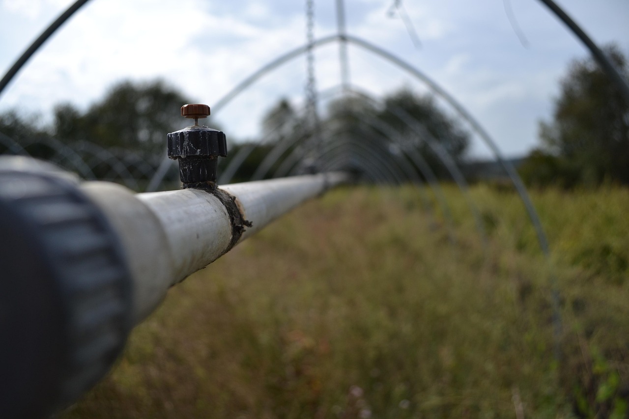 Comienzan trabajos para recuperar viveros afectados por la dana en Valencia
