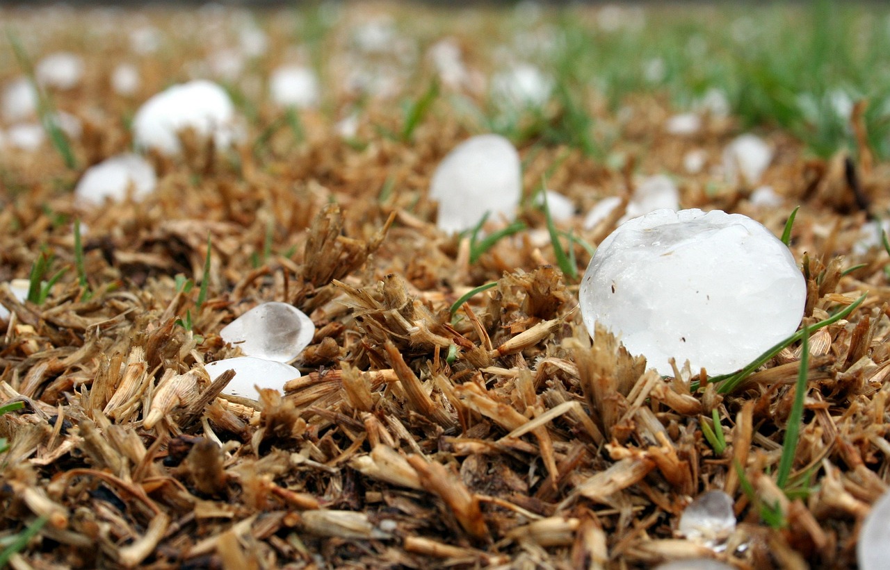 Agroseguro: Tormentas de mayo han afectado unas 80 mil hectáreas agrícolas