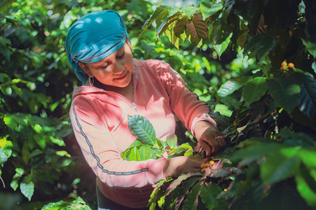 “Sembrando el Futuro”