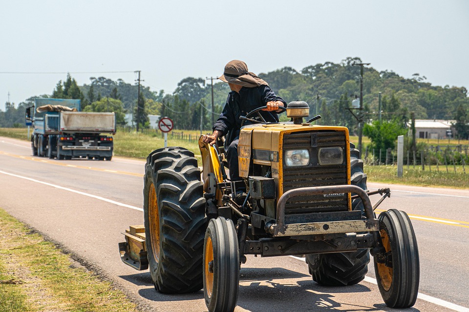 Gobierno supervisa trabajos de reconstrucción en el municipio Real tras la DANA