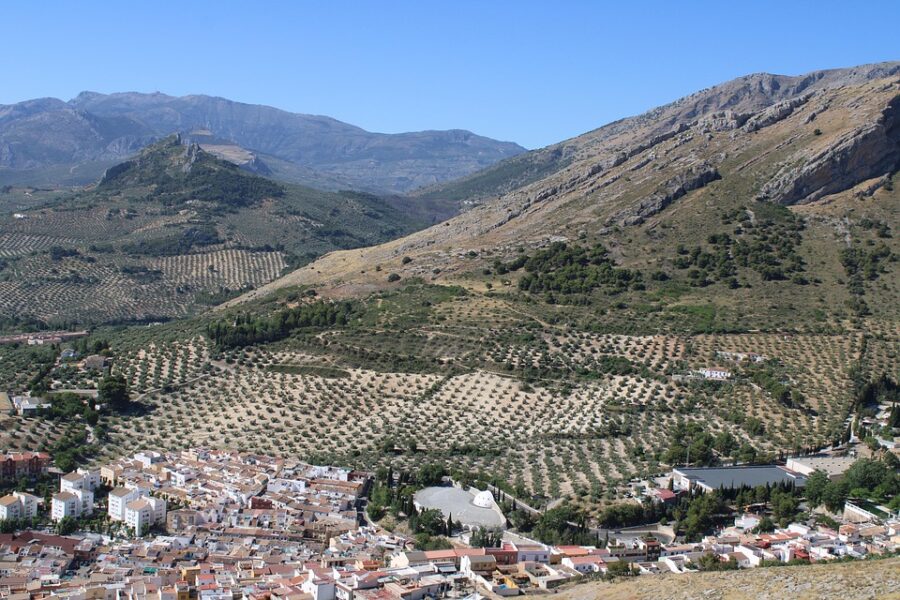 La Junta de Andalucía aprobó 43,7 millones de euros para la modernización de la maquinaria agrícola de Jaén.