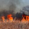 Incendios forestales 2026 | ENGUIX Maquinaria Agrícola