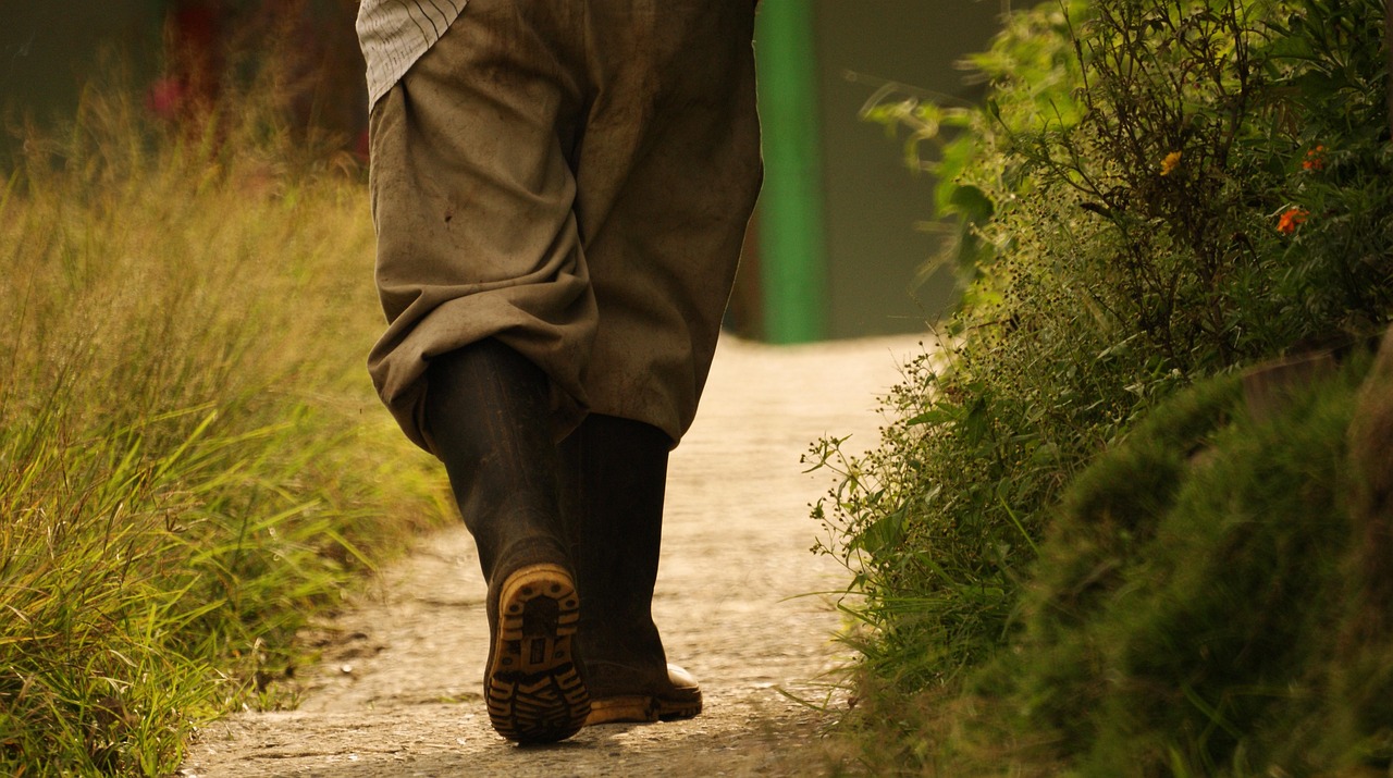 Se registraron unas 582 mil solicitudes de ayudas para la campaña PAC 2025