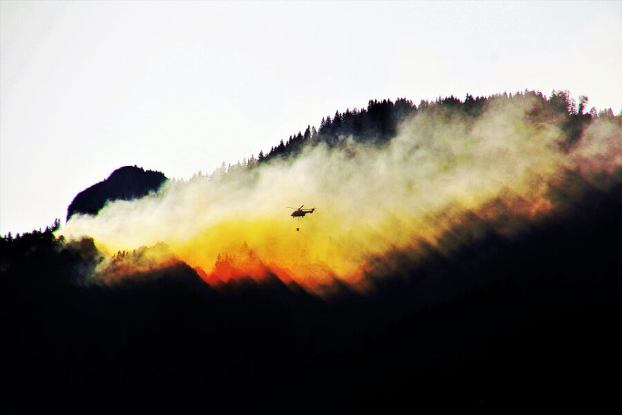 Incendios del verano