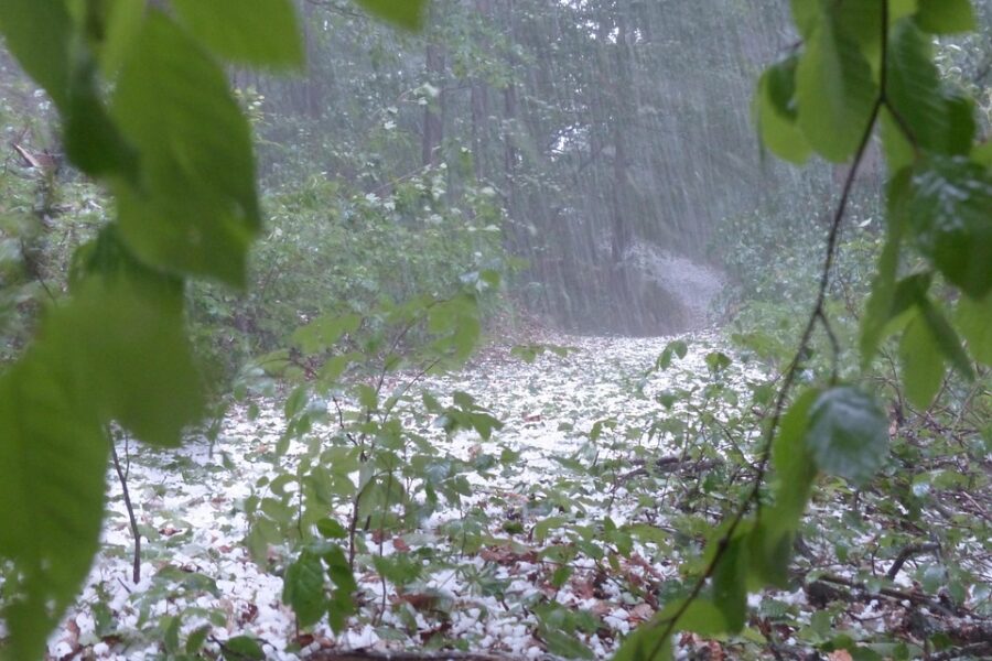 Granizo en Valencia | ENGUIX Maquinaria Agrícola