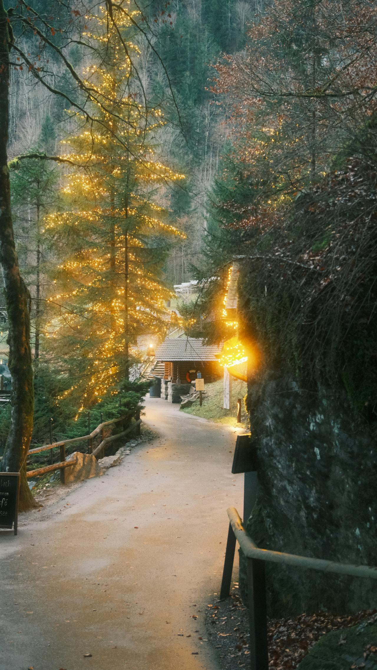 Cuento para estas fiestas: “La Navidad del niño campesino”