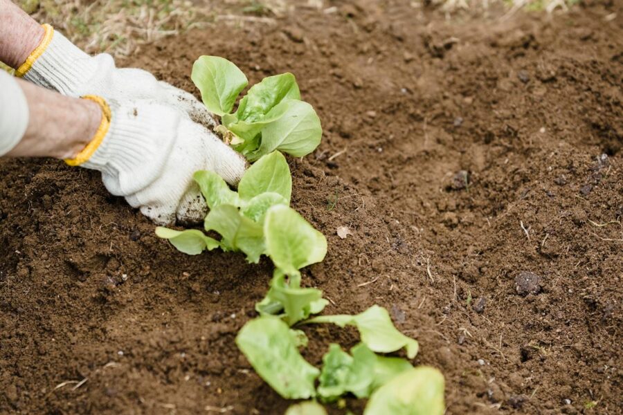 Paro agrícola | ENGUIX Maquinaria Agrícola