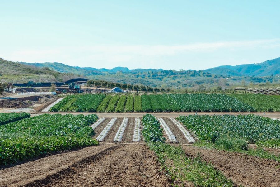 Día Mundial del Suelo