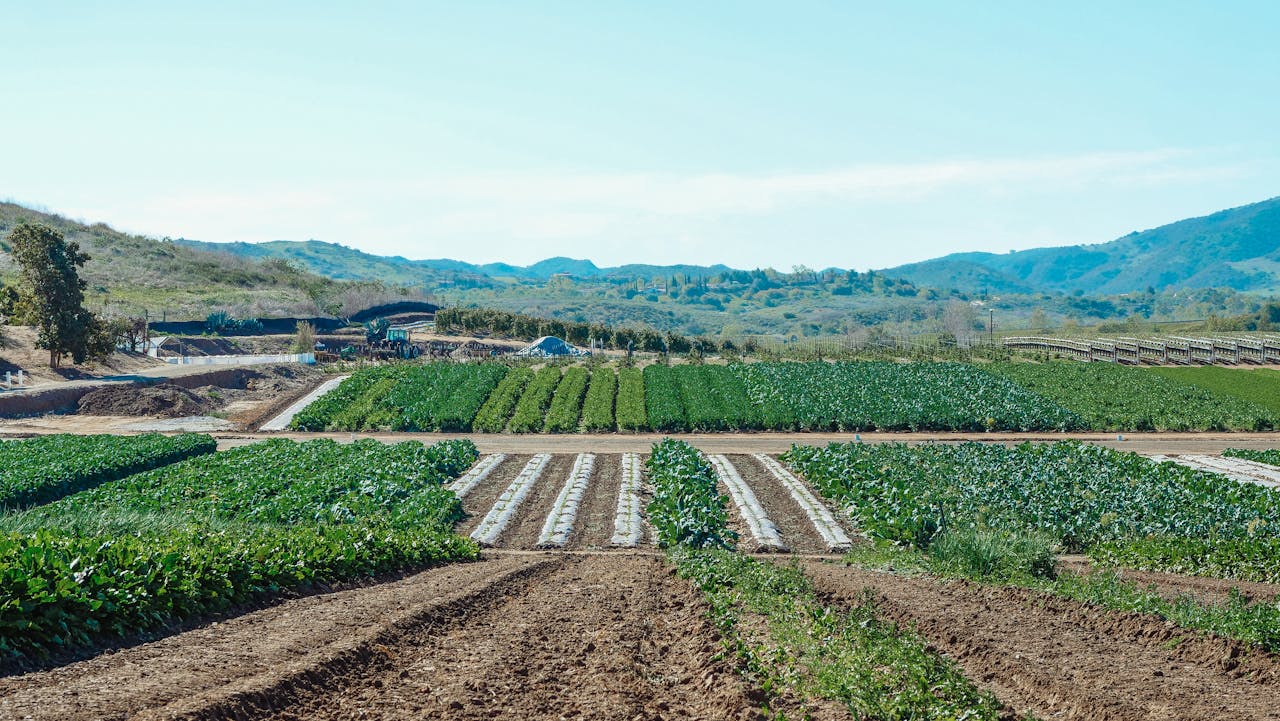 Gobierno resaltó beneficios de la agroecología en el Día Mundial del Suelo