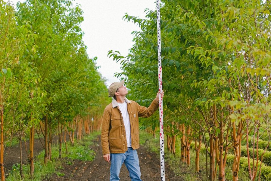 Abono para frutales | ENGUIX Maquinaria Agrícola