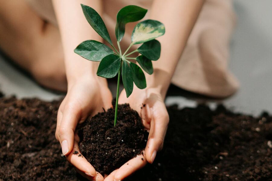 Enero y siembra | ENGUIX Maquinaria Agrícola