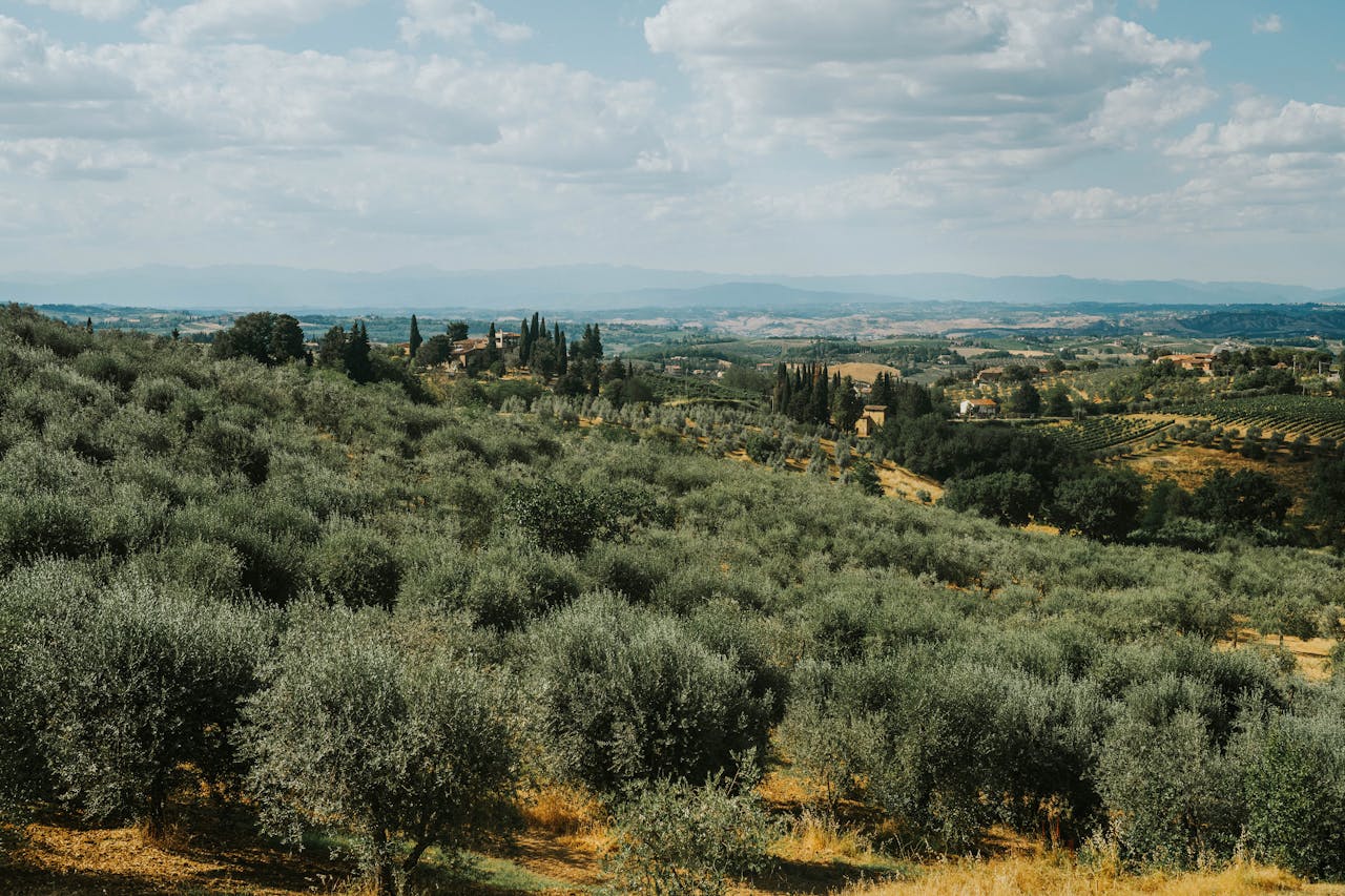 Olivareros ayudaron a víctimas del accidente de trenes en Adamuz