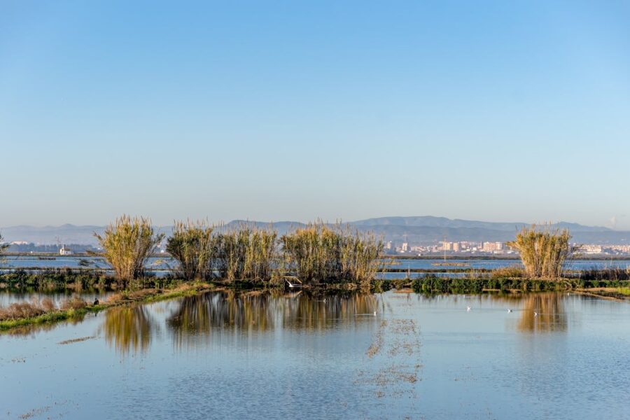 Acequias del Tribunal de las Aguas | ENGUIX Maquinaria Agrícola