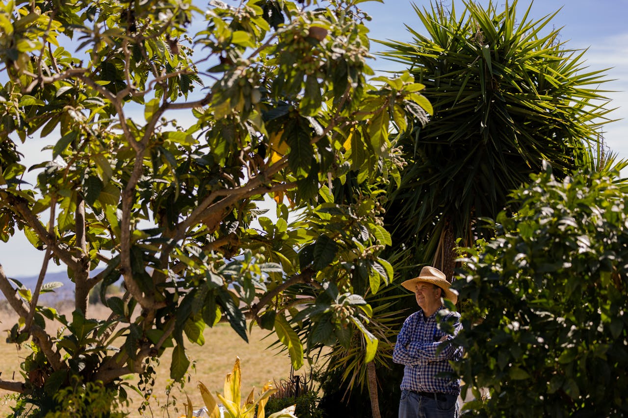 Este 1 de febrero comienza el plazo para la solicitud de ayudas de la PAC 2026