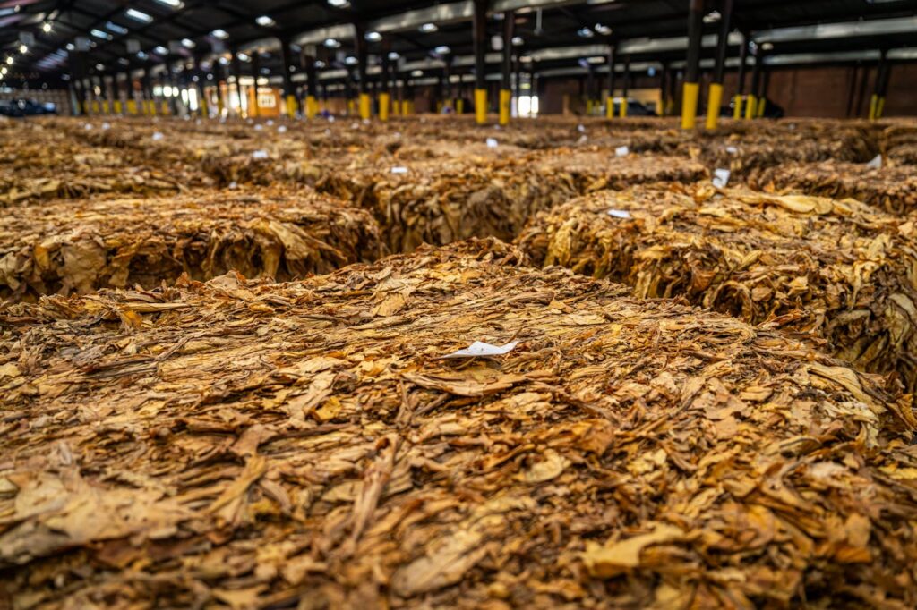 Tabaco español | ENGUIX Maquinaria Agrícola