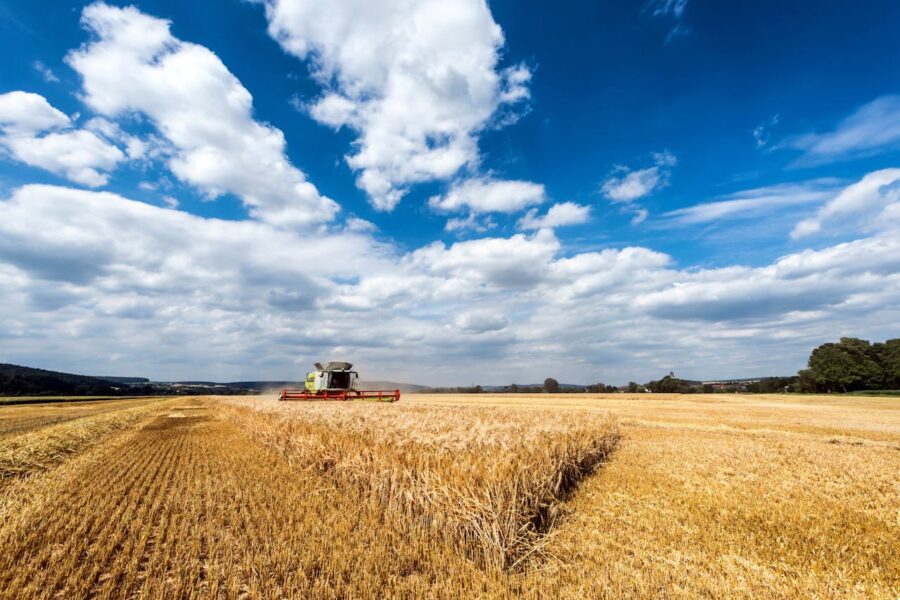 Trituradora agrícola | ENGUIX Maquinaria Agrícola