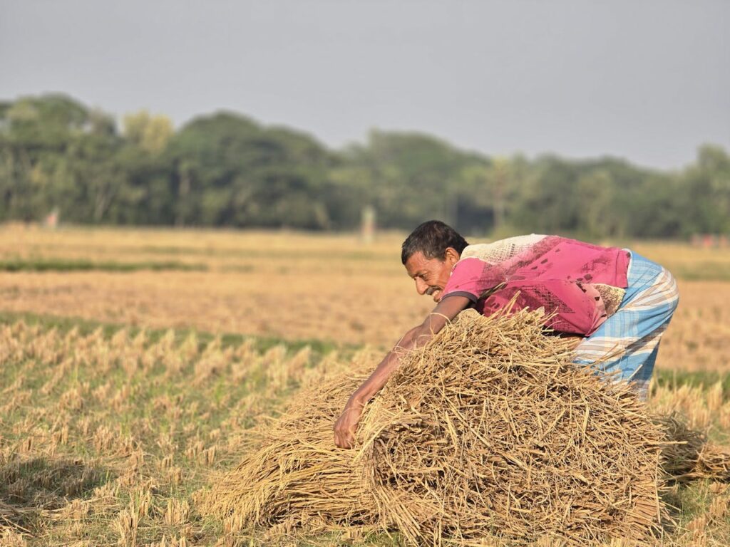 Migrantes regularización | ENGUIX Maquinaria Agrícola