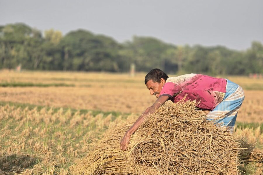 Migrantes regularización | ENGUIX Maquinaria Agrícola