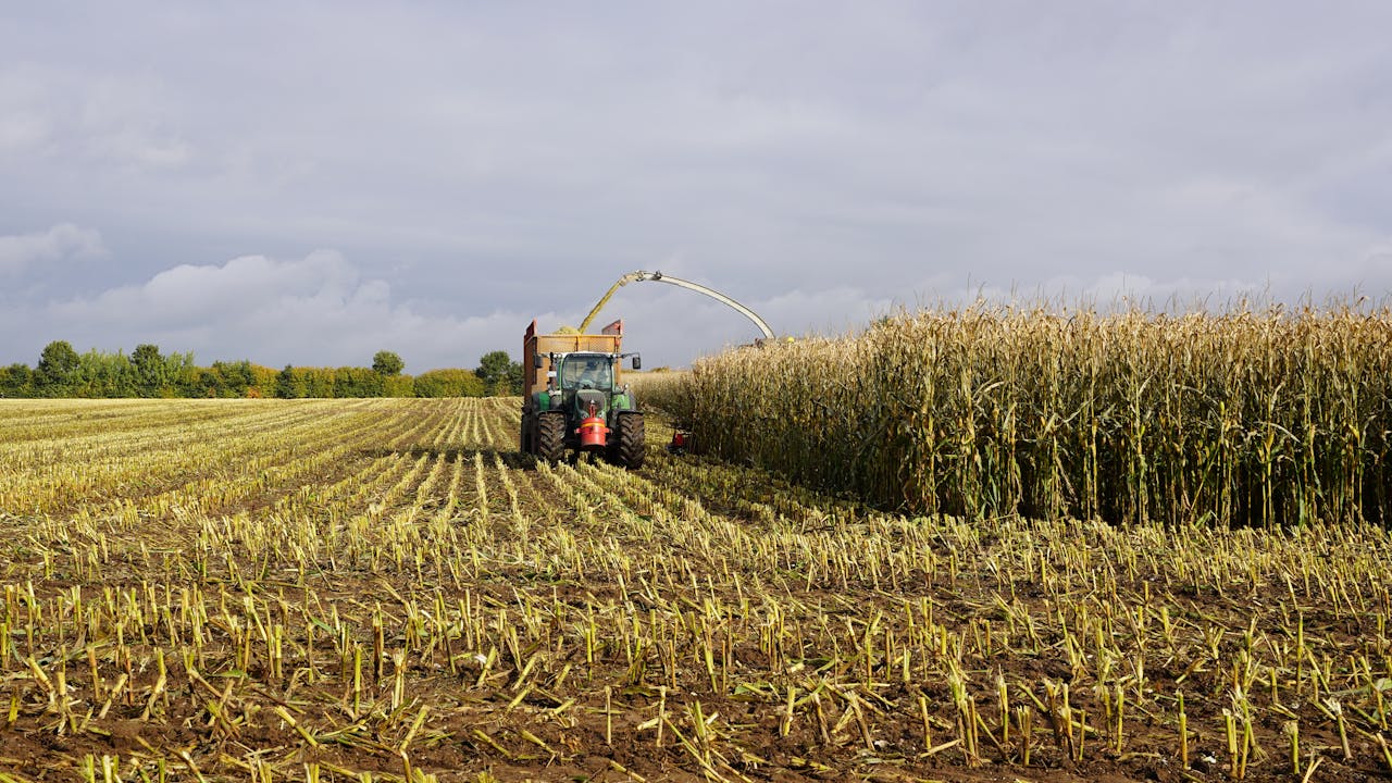 Tensión en el Medio Oriente impacta el mercado agrícola europeo