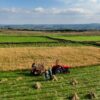 Plan Renove | ENGUIX Maquinaria Agrícola