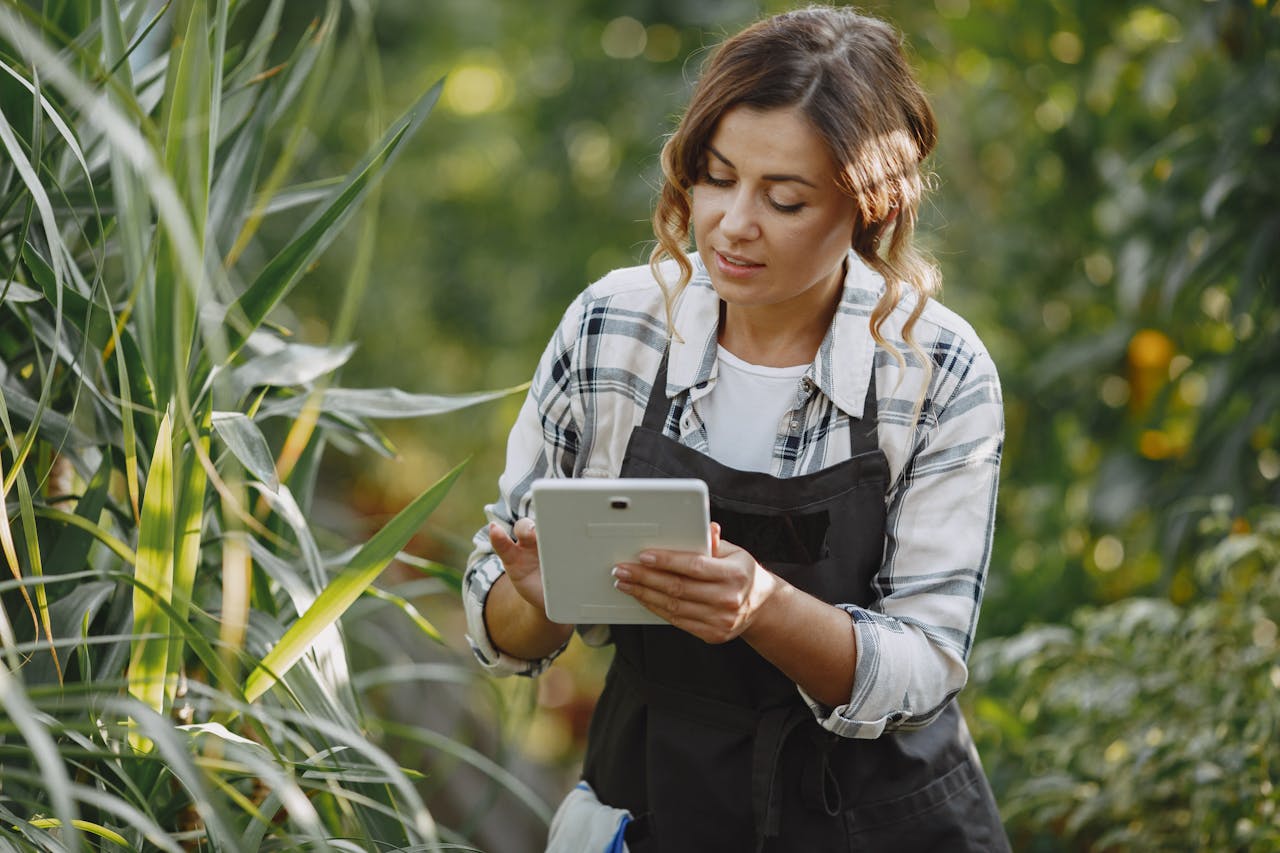 El Kit Digital para el sector agrícola benefició a un 90% de los municipios rurales