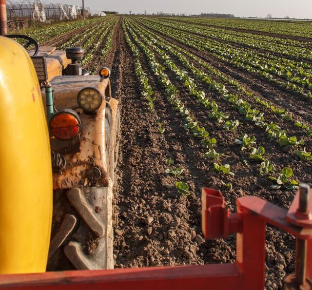 Abierta convocatoria para el plan Renove agrícola 2026
