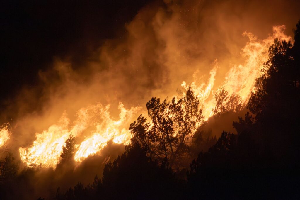 Incendios forestales | ENGUIX Maquinaria Agrícola