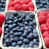 Frutos rojos | ENGUIX Maquinaria Agrícola