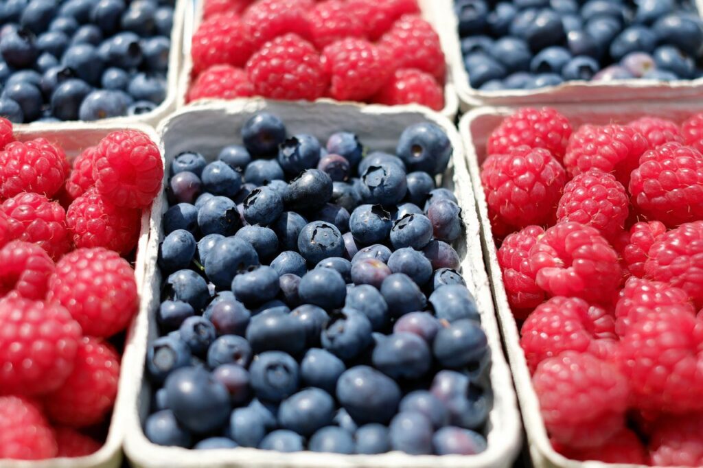 Frutos rojos | ENGUIX Maquinaria Agrícola