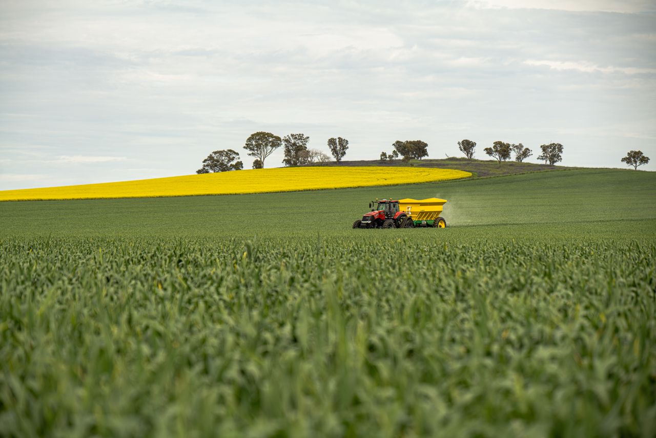 Agricultores españoles ya pueden cobrar la ayuda para fertilizantes