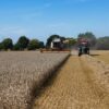 Ley de la cadena alimentaria