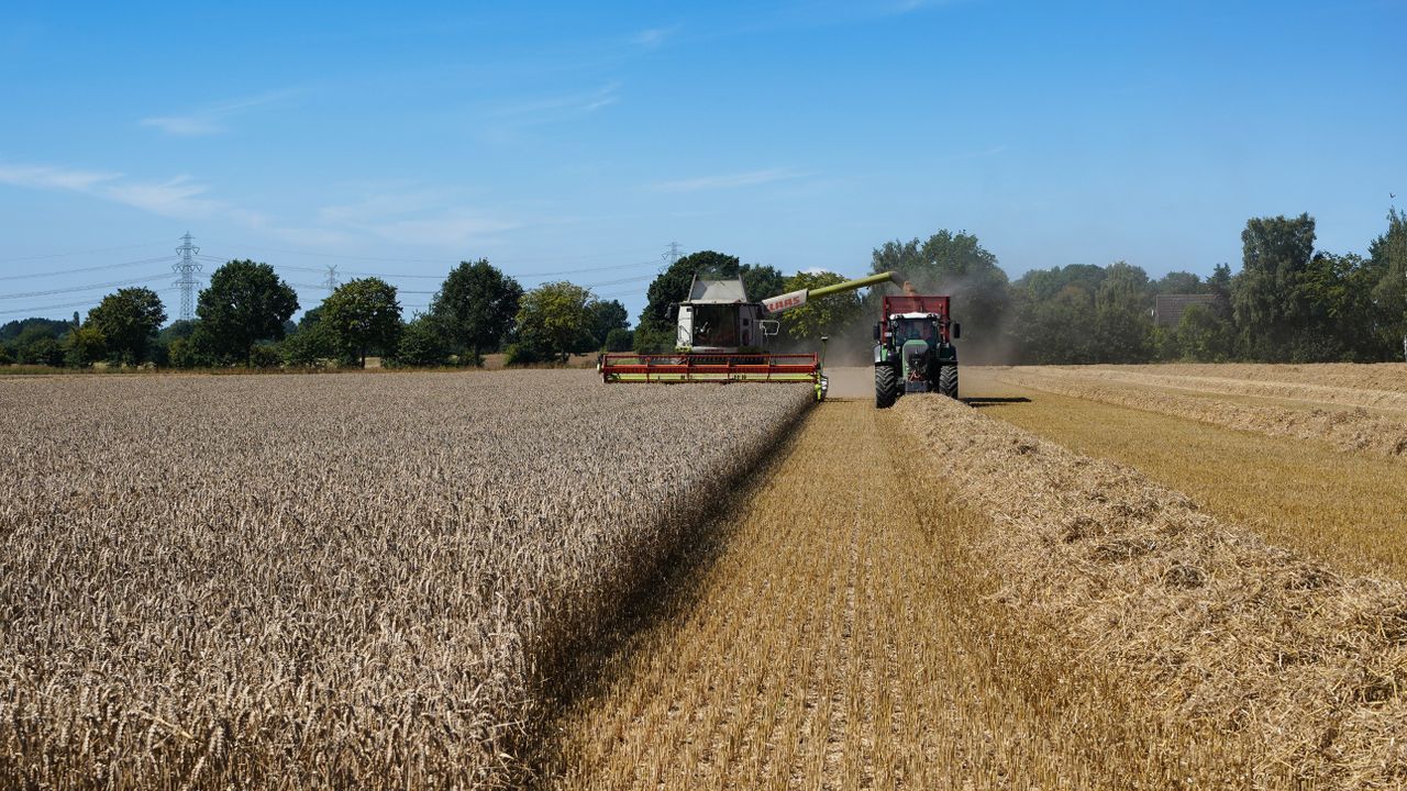 Las razones por las que agricultores reclaman que se cumpla la Ley de la Cadena Alimentaria