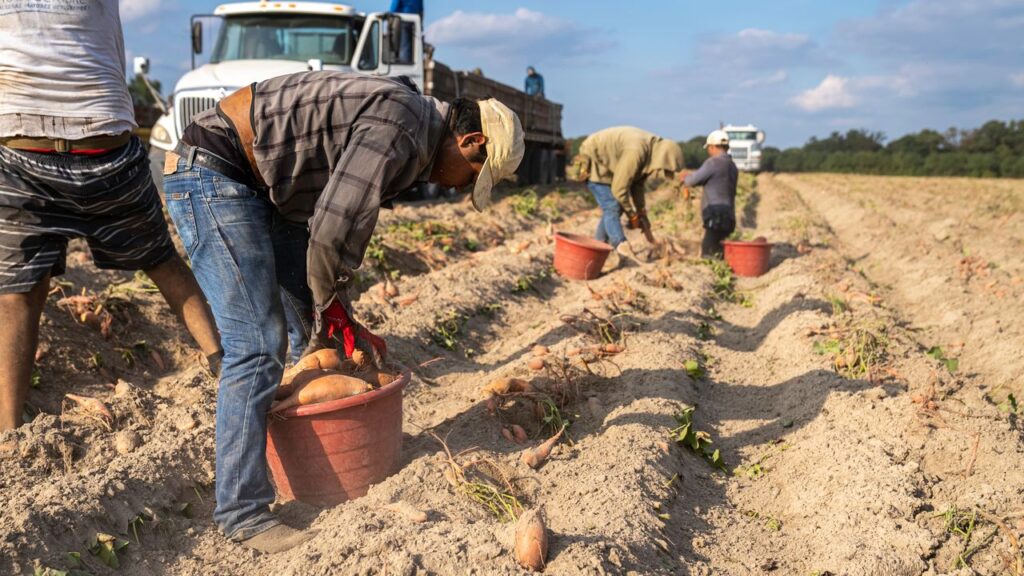 Desempleo agrícola | Descenso | ENGUIX Maquinaria Agrícola