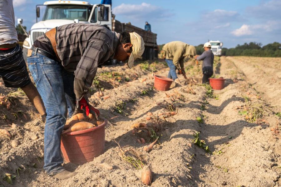Desempleo agrícola | Descenso | ENGUIX Maquinaria Agrícola