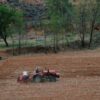 Rotocultor