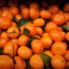 Mandarinas españolas | ENGUIX Maquinaria Agrícola