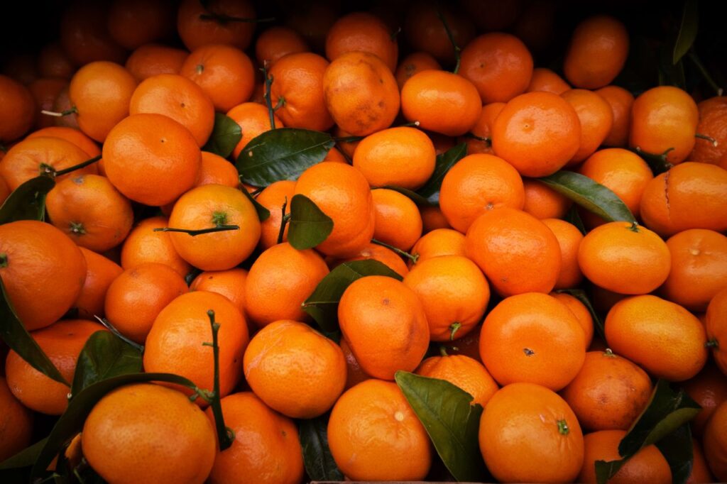 Mandarinas españolas | ENGUIX Maquinaria Agrícola