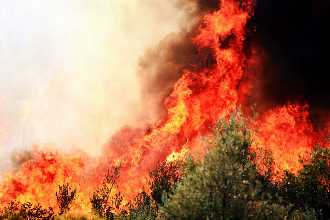 Lo que se debe hacer para prevenir incendios forestales en el campo