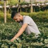 Cultiva 2026 | ENGUIX Maquinaria Agrícola