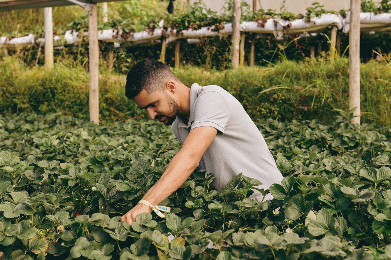 Ya abrió el plazo para que los jóvenes participen en el programa Cultiva 2026