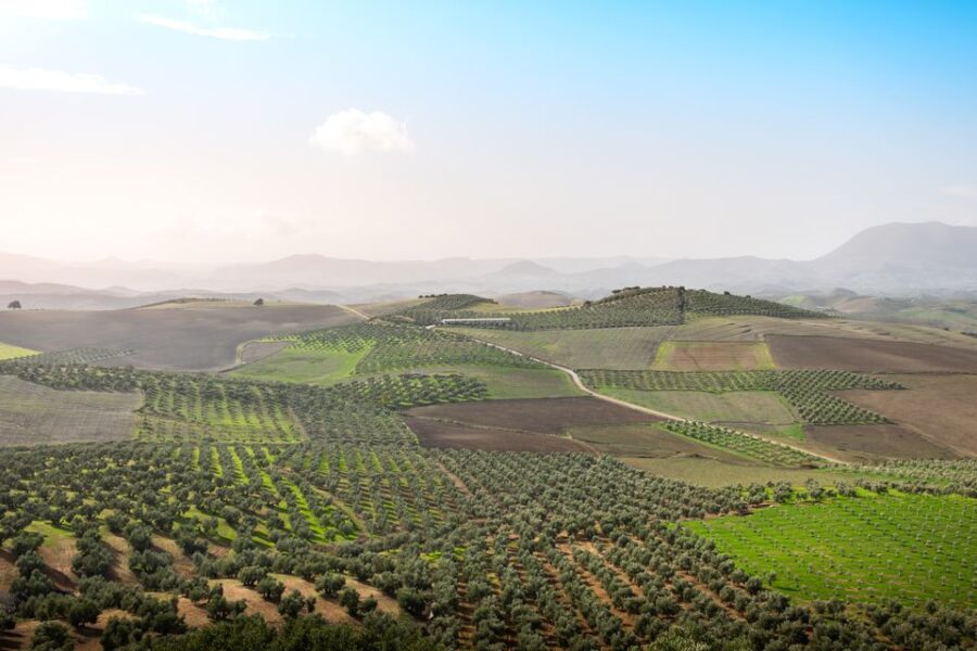 Agricultura regenerativa | ENGUIX Maquinaria Agrícola